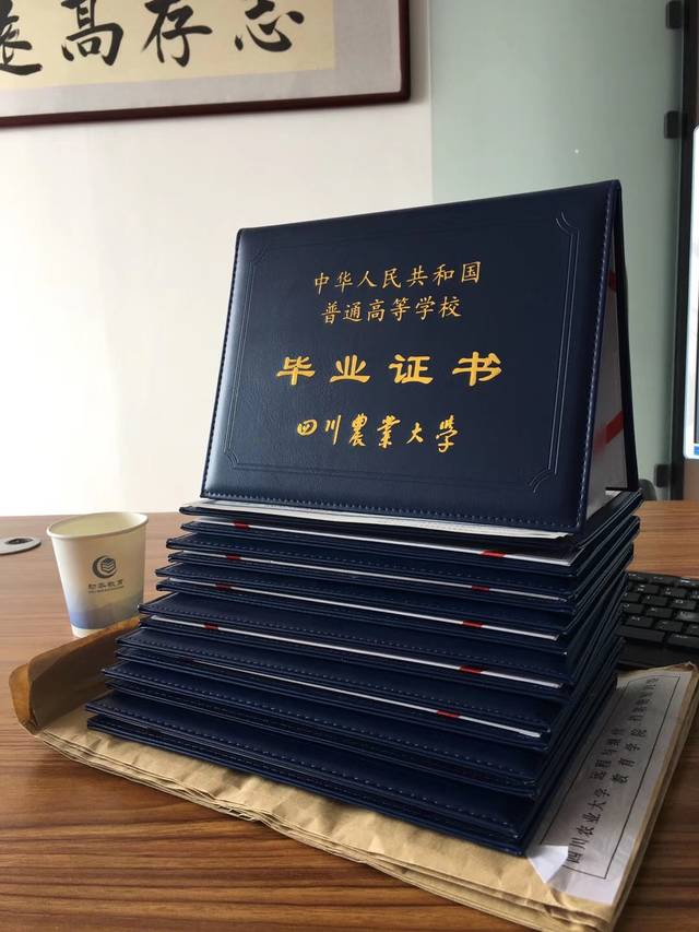 中国石油大学文凭(在中国石油大学就读是怎样的体验)