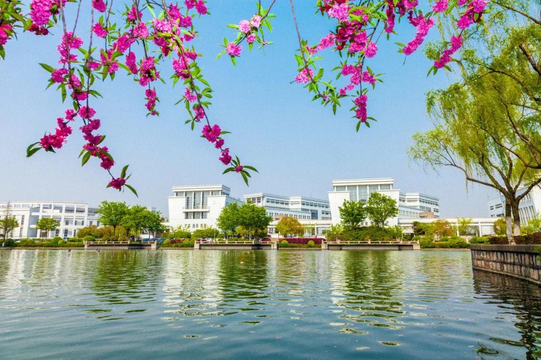 上海大学(上海大学排名表最新排名)