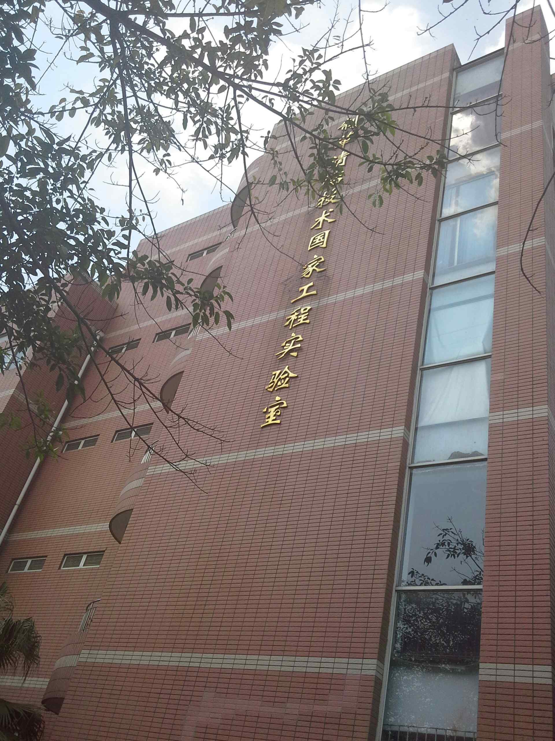 四川大学毕业证(四川大学毕业证样本图片)