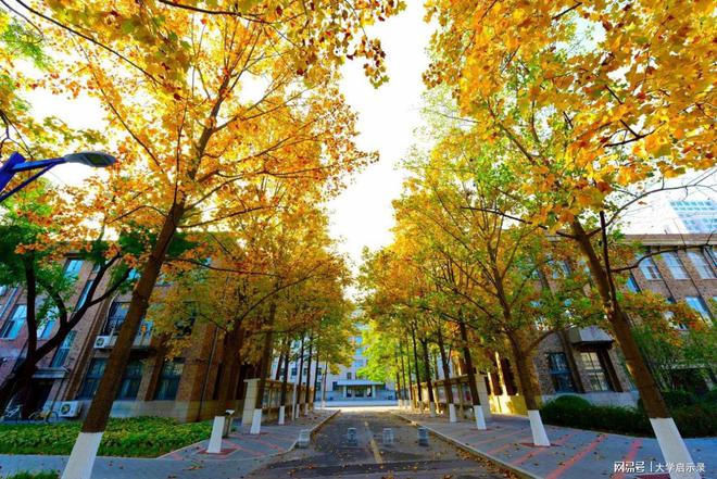 中国农业大学(中国农业大学合作办学项目)