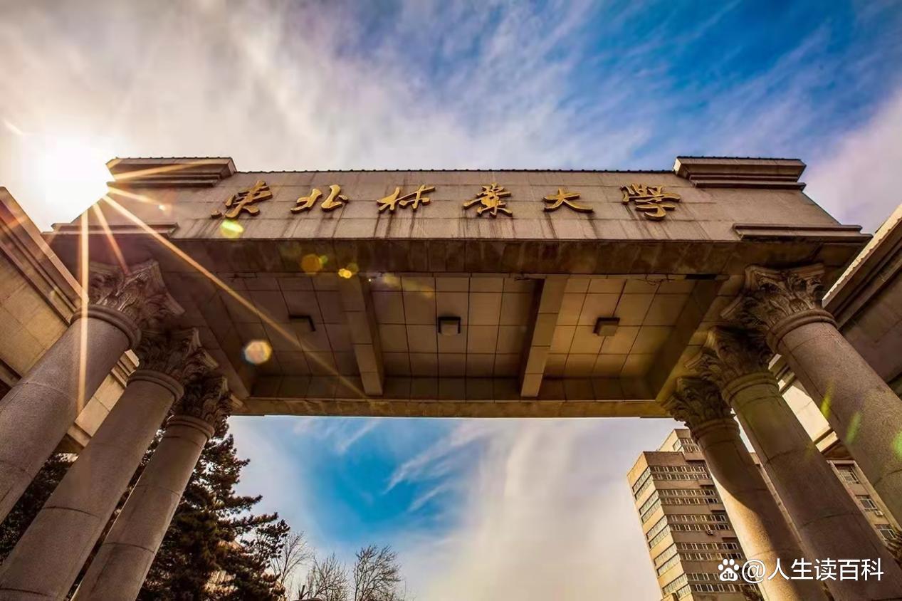 东北林业大学(东北林业大学林学院)