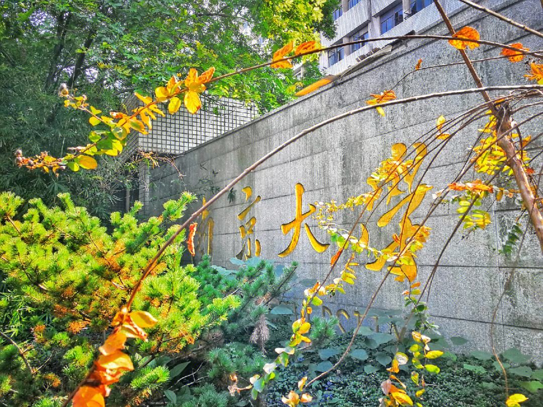 南京大学(南京大学排名全国几位)