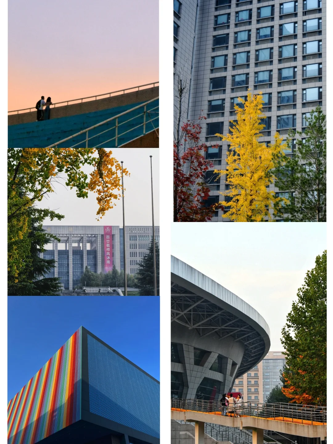 西北大学(西北大学考研分数线)