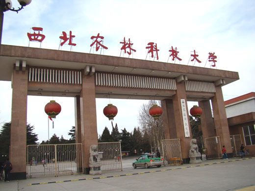西北农林科技大学毕业证(西北农林科技大学毕业证图片)