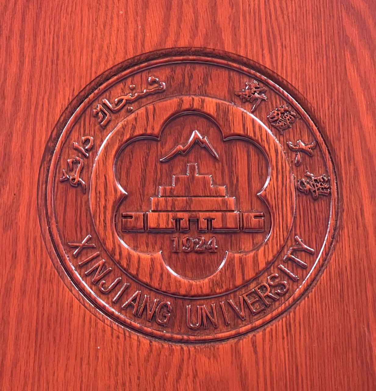 新疆大学(新疆大学研究生专业)