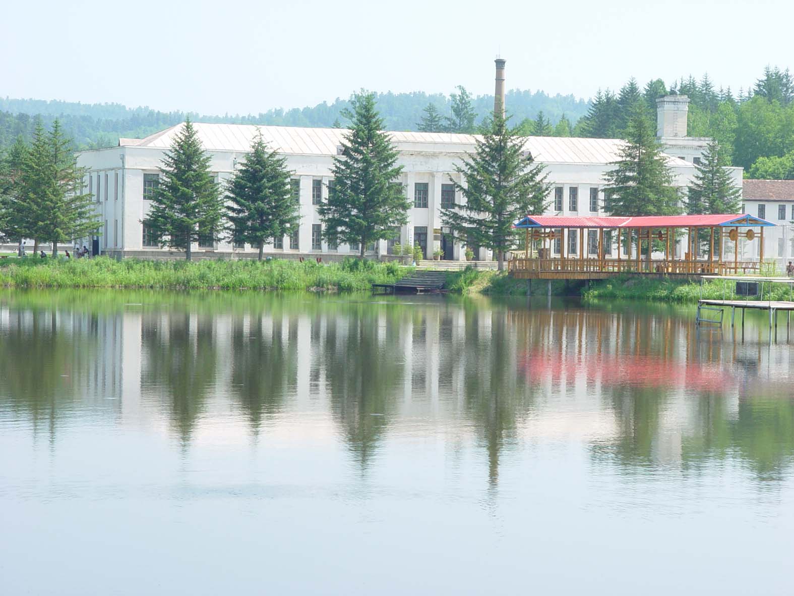 东北林业大学毕业证(东北林业大学毕业证书)