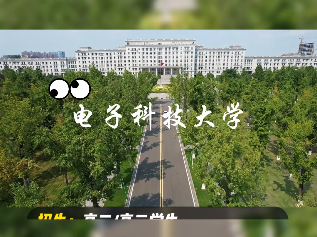 电子科技大学(电子科技大学中山学院)