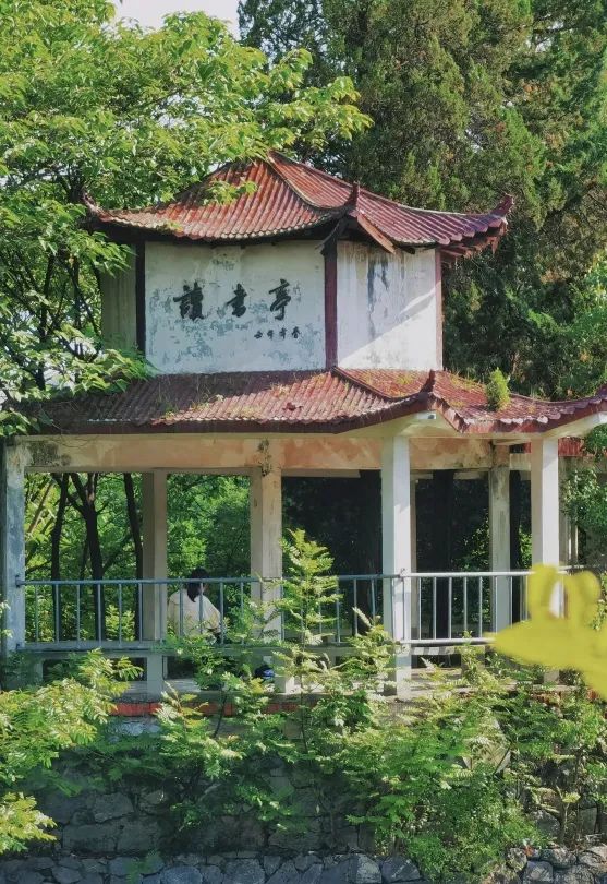 安徽大学(安徽大学研究生招生官网)