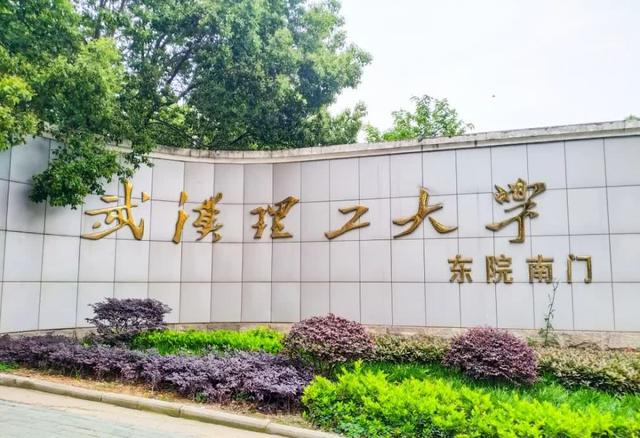 武汉理工大学(武汉理工大学自动化学院)