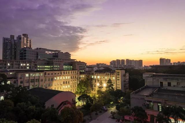 广西大学(广西大学排名)