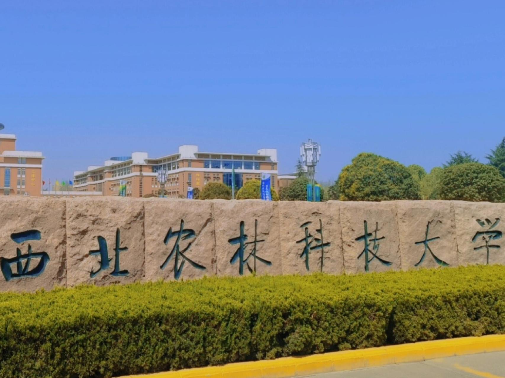 西北农林科技大学(西北农林科技大学是985还是211)