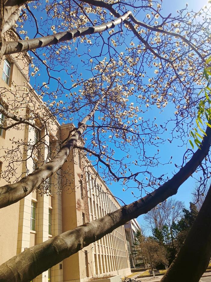 大连理工大学邮箱