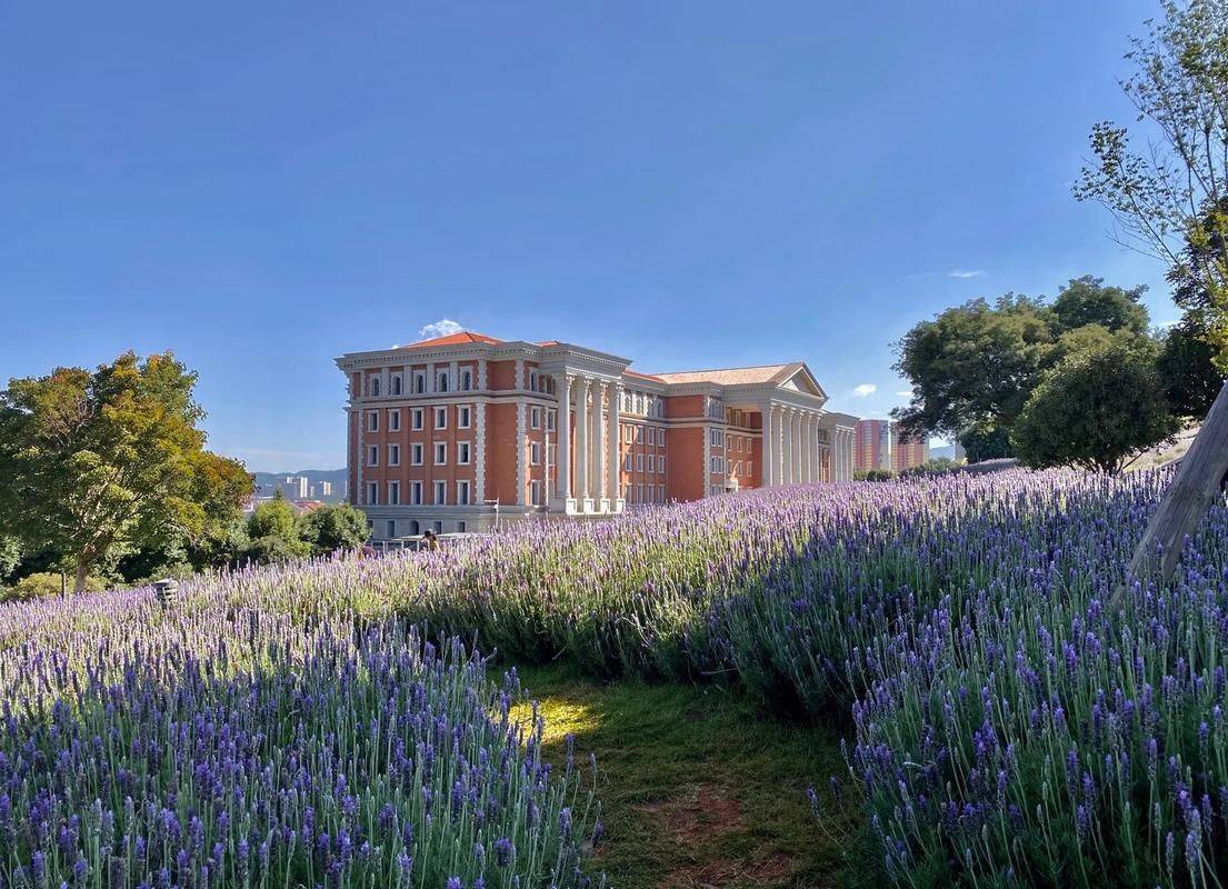 云南大学排名