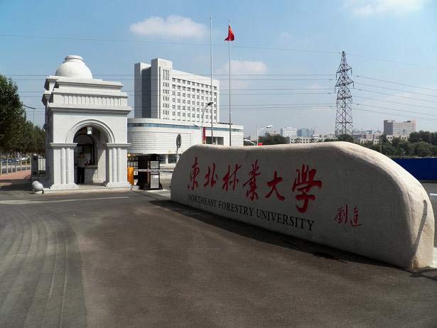 东北林业大学教务处综合管理系统