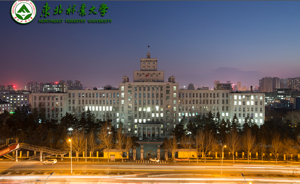 东北林业大学教务处综合管理系统