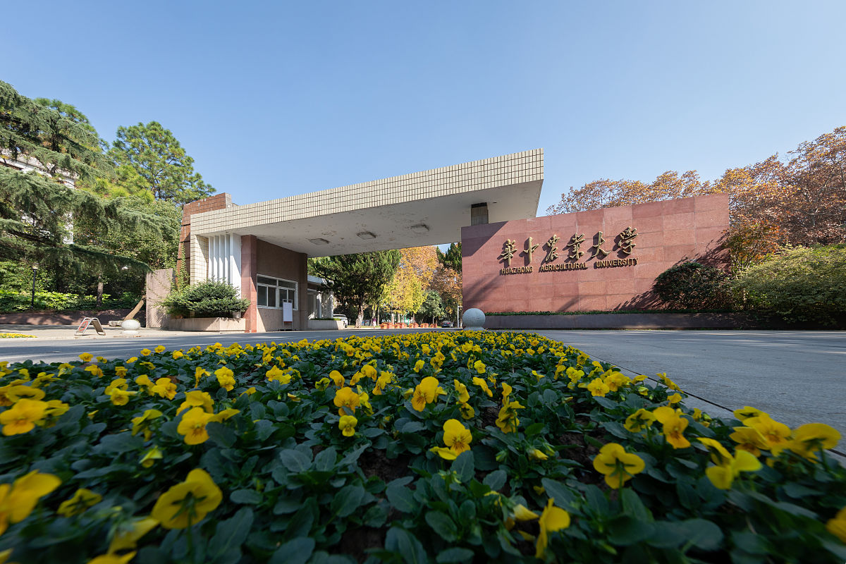华南农业大学教务系统