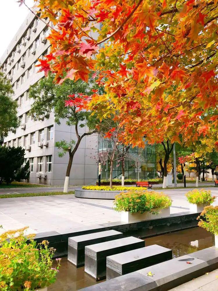 首都医科大学学位证书条件