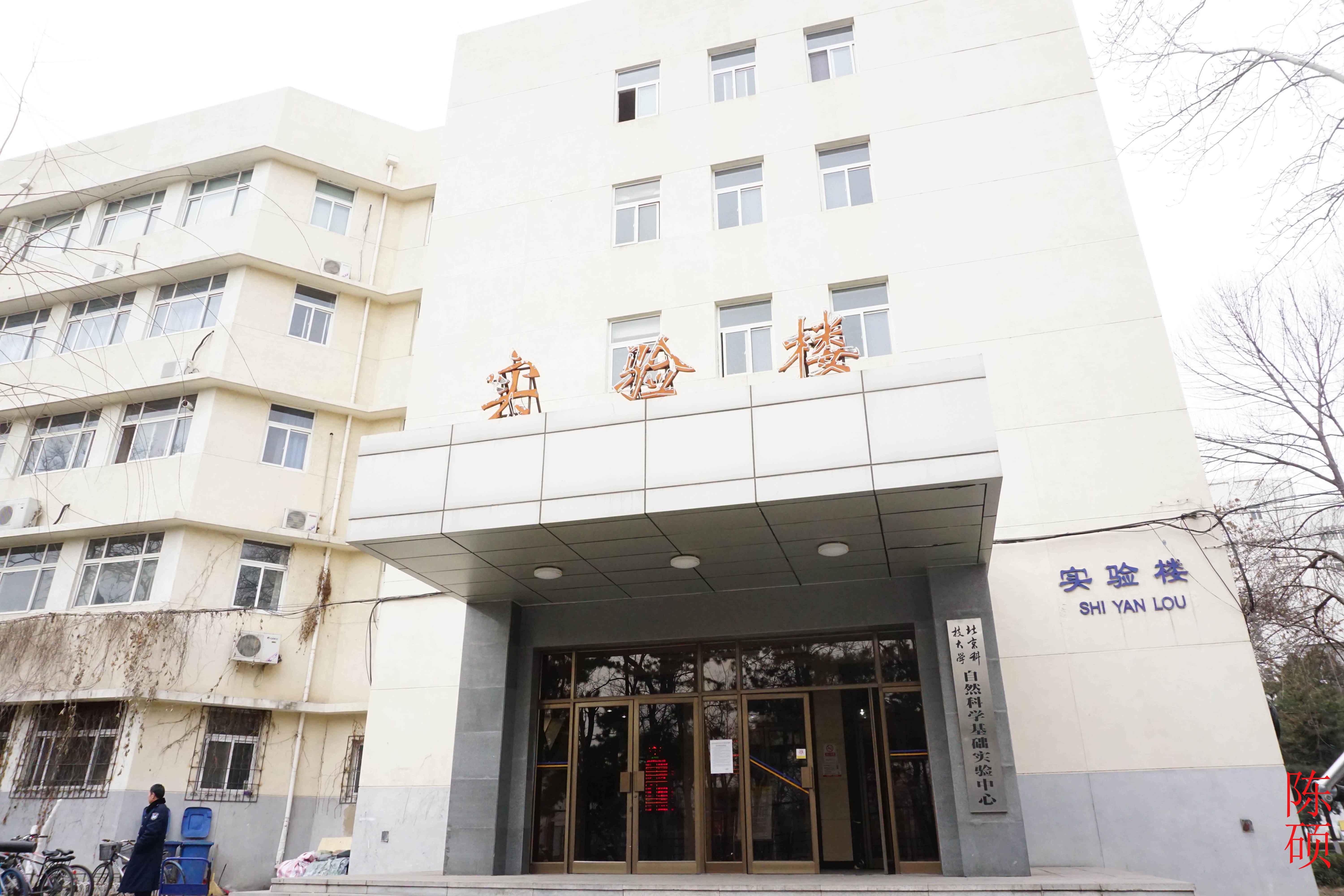 北大毕业证